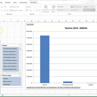 Microsoft Office Excel programavimas Palanga Šarūnas Bielskis nuotrauka 1