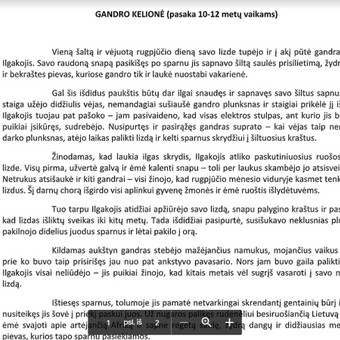 Paslauga