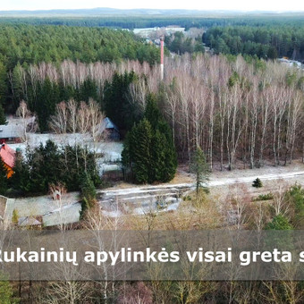 Paslauga