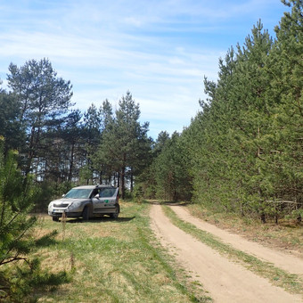 Paslauga