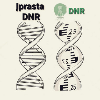 Paslauga