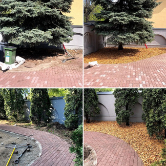 Apleistų sklypų tvarkymas Kaunas ProVejos nuotrauka 2