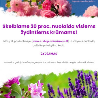 Paslauga