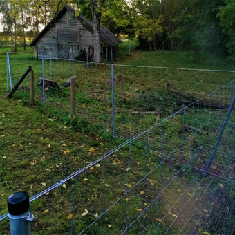 Paslauga
