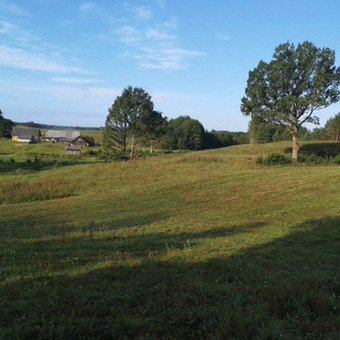 Paslauga