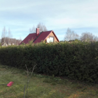 Paslauga