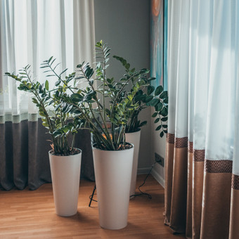 Projekto kaina priklauso nuo darbų apimties. Panevėžys Rolanda Adomavičienė nuotrauka 8 Užuolaidų parinkimas Panevėžys Rolanda Adomavičienė nuotrauka 8