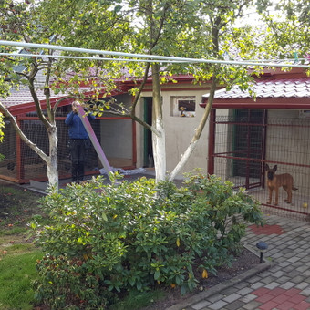 Paslauga