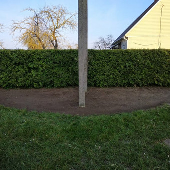 Paslauga