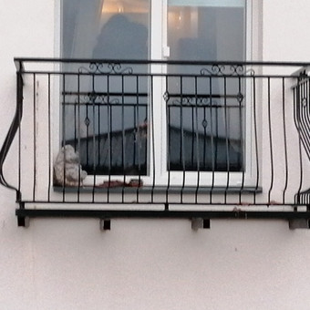 Paslauga