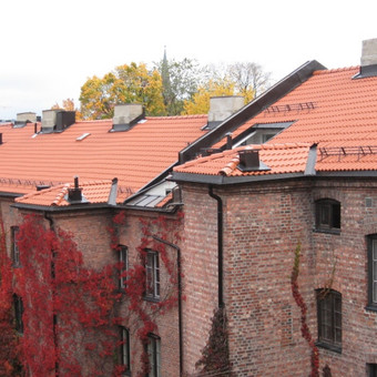 Paslauga