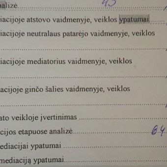 Padedu sutvarkyti baigiamuosius mokslo darbus pagal techninius reikalavimus: paraštės, antraštės, turinys ir kt. Kauno rajonas Margarita nuotrauka 32 Mokslinio darbo techninis sutvarkymas pagal reikalavimus Kauno rajonas Margarita nuotrauka 32