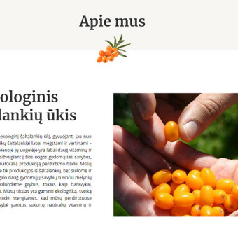 Tekstai, kurie pritrauks skaitytoją ir įtikins rinktis būtent Jūsų paslaugas/produktus. Kaunas Diana nuotrauka 3 Tekstų interneto svetainėms kūrimas Kaunas Diana nuotrauka 3