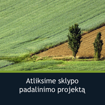 Paslauga