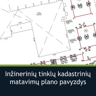 Paslauga