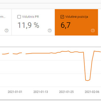 Google webmaster klaidų taisymas Kaunas Tomas Valiūnas nuotrauka 9 Google webmaster klaidų taisymas Kaunas Tomas Valiūnas nuotrauka 9