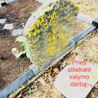 Paslauga