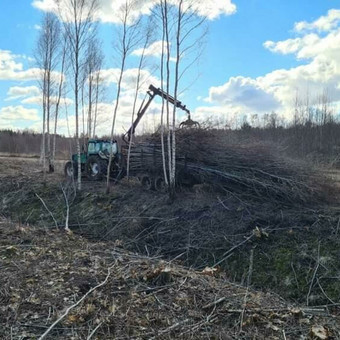 Šakų išvežimas Klaipėdos rajonas Ligito Rėbždos II nuotrauka 3