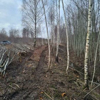 Apleistų sklypų tvarkymas Klaipėdos rajonas Ligito Rėbždos II nuotrauka 2