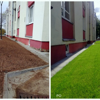 Vejos įrengimas: sėjimas, ruloninė veja Kaunas UAB Želdina nuotrauka 3