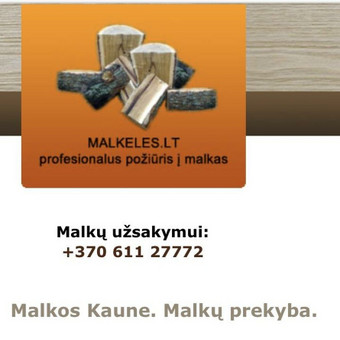 Skaldytos malkos Kaunas Matas Viscius nuotrauka 1
