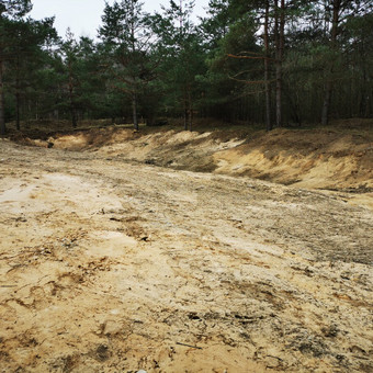 Paslauga