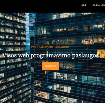 Reprezentacinių internetinių svetainių kūrimas Klaipėda Žilvinas Mačius nuotrauka 4 Svetainių kūrimas Klaipėda Žilvinas Mačius nuotrauka 4