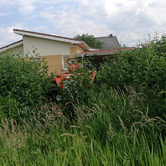 Klaipėda SG Paslaugos nuotrauka 3 Apleistų sklypų tvarkymas Klaipėda SG Paslaugos nuotrauka 3