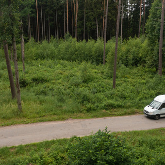 Paslauga