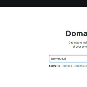 SEO backlinkai , SEO outreach Kaunas Tomas Valiūnas nuotrauka 12 SEO backlinkai Kaunas Tomas Valiūnas nuotrauka 12