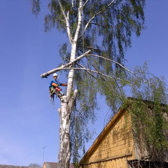 Paslauga