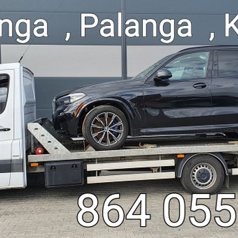 Tralo paslaugos Palanga Petras veža + nuotrauka 1