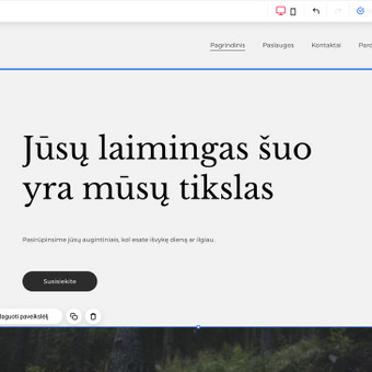 Paslauga