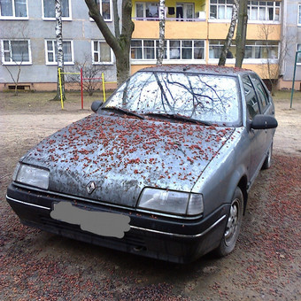 Paslauga