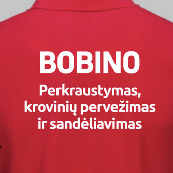 Pakavimo medžiagos ir paslaugos Kaunas Bobino perkraustymas, du vyrai mašina nuotrauka 4