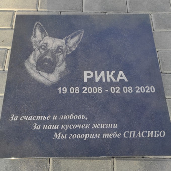 Paslauga