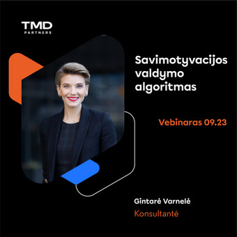Maketavimas Vilnius Rokas Pocius nuotrauka 6