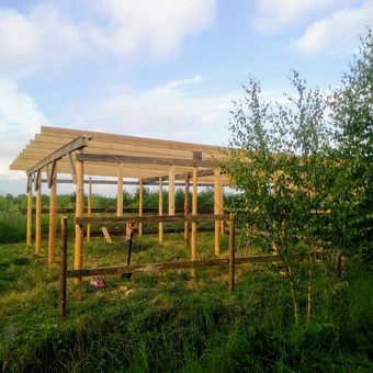 Paslauga