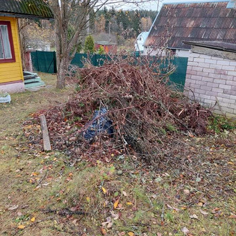 Šakų išvežimas Vilnius Įvairių šiukšlių išvežimas nuotrauka 6