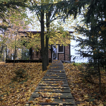 Paslauga
