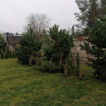 Kraštovaizdžio projektavimo planai. Sąmata. Konsultacija atskirai,nuo 30€.,priklausomai nuo vietos. Pageidautina turėti sklypo planą prieš susitinkant Vilnius ANDRIUS PRETKELIS nuotrauka 2 Kraštovaizdžio projektavimas Vilnius ANDRIUS PRETKELIS nuotrauka 2