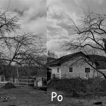 Paslauga