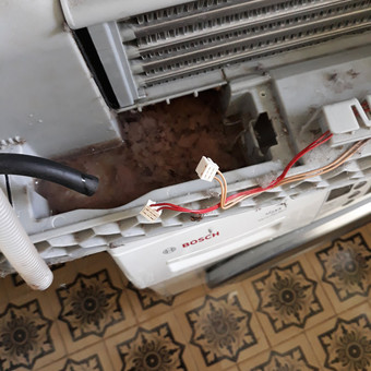 Mechaninių ir elektronikos gedimų šalinimas.Dziovykles garintuvo plovimas(Heat pump) Kaunas Vaidotas nuotrauka 2 Džiovyklių remontas Kaunas Vaidotas nuotrauka 2