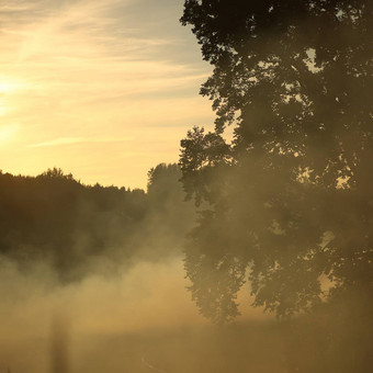 Kaip ieškoti fono užsklandos gamtoje ar patalpoje, kaip ją susikurti nemokamai. Vilnius Jonkus Photography nuotrauka 4 Fono paieška Vilnius Jonkus Photography nuotrauka 4