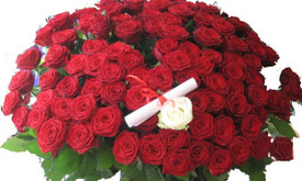 Viktoras & Co (Florisima) Viktoras & Co (Florisima)