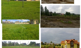 Apželdinimas - aplinkotvarka Apželdinimas - aplinkotvarka