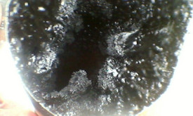 MB,,Domus tuta'' MB,,Domus tuta''