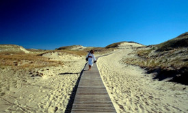 Travel In Baltics