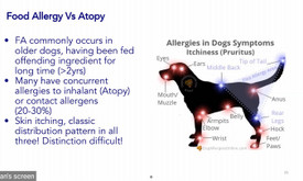 Veterinaro paslaugos į visą margą pasaulį. Veterinaro paslaugos į visą margą pasaulį.