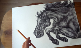 Dailininkė Dailininkė